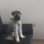 maria eugenia amelines - @mariaeugeniaamelines - Instagram
