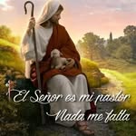 Maria Amodeo - @amodeo880 - Instagram