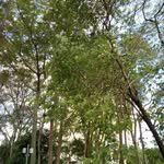 Maria Andes - @andes7004 - Instagram