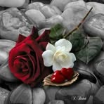Maria Andes - Facebook