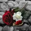 Maria Andes - @maria.andes2 - TikTok