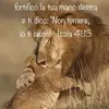 Maria Andreozzi - @maria.andreozzi98 - TikTok