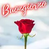 Maria Andreozzi - @maria.andreozzi44 - TikTok