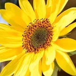 Maria picerno anello - @mariapicernoanello - Instagram