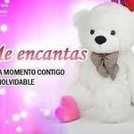 Maria Selene Arcos Anicama - @arcosanicama - Instagram