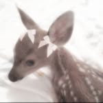 MariaAntoinette - @angel_doll_222 - Instagram