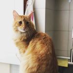 Maria Antonacci - @maria.e.antonacci - Instagram
