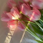 Maria Aries - Facebook