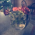 Maria Seidel Ashmore - @shutter_shock_13 - Instagram