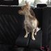 Maria Aslan  - Facebook