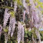 Anna Maria Aucello - @aucello.annamaria - Instagram