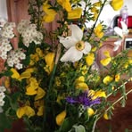 Maria Auclair - Facebook