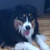 Marianne Auclair586 - @marianneauclair58 - TikTok