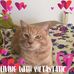 Maria Austen - Facebook