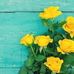 Maria Austen - Facebook