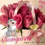 Maria Avallone - @maria.avallone.7547 - Instagram