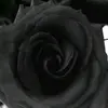 SUFLET TRIST 🖤 - @ana.maria.avram7 - TikTok