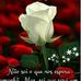 Maria Jose Ayres de Oliveira - Facebook