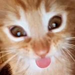 María Azar - @mariaazar0206 - Instagram