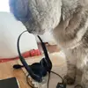 marianna baccaro - @mariannabaccaro0 - TikTok