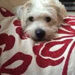 Maria Bacon - @maria_bacon - Instagram
