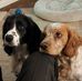 Maria Bain - Facebook