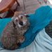 Maria Bellbeoch - Facebook