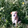 Marie Balbach - @marie.balbach13 - TikTok