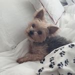 Maria Ballinger - @mcballinger - Instagram