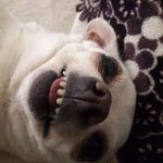 Maria Baltierrez - @maria.baltierrez.710 - Instagram