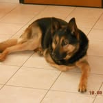 Rosa Maria Banchero - @rosabanchero_66 - Instagram