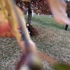 Maria Banner - @mariabanner1 - TikTok