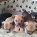 Maria Banner - Facebook