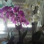 Maria Barão Costa Matos - @mariabaraocosta - Instagram