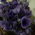 Biancamaria Barbarossa - @biancamariabarbarossa - Instagram