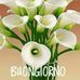 Maria Barbone - Facebook