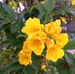 Maria Barcena - Facebook