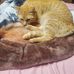 Maria Barfield - Facebook