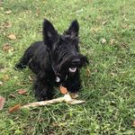 @maria_barney666 - Instagram