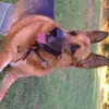 Anna Maria Basconi - @anna.maria.bascon - TikTok