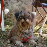 Maria Valle Jimenez Bascon - @valle1973 - Instagram