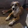 Maria Bayron - @milo5603 - TikTok