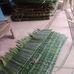 Marita Bayron - Facebook