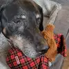 Maria Beall - @maria.beall - TikTok