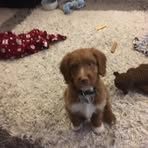 Maria Beardsley - Facebook