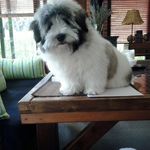 Maria Beato - @maria_beato_1313 - Instagram