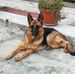 Maria Beato - Facebook