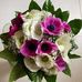 Maria Bellezza - Facebook