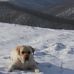 Maria Gemma Bendoni - Facebook