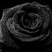 Maria Bennington - Facebook